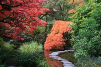 japanese-garden-2898777